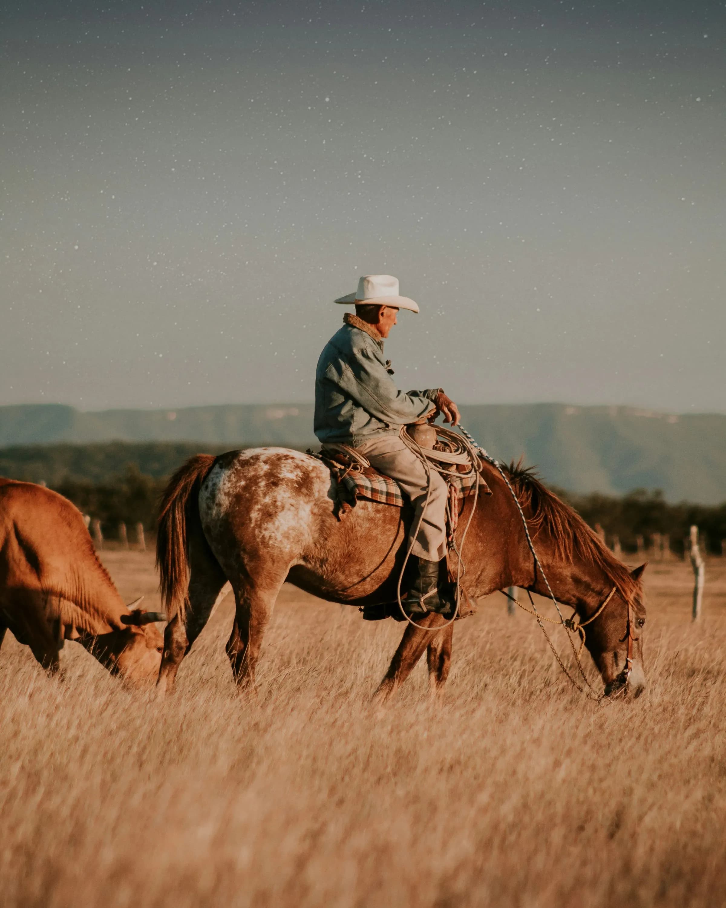 Western Ways